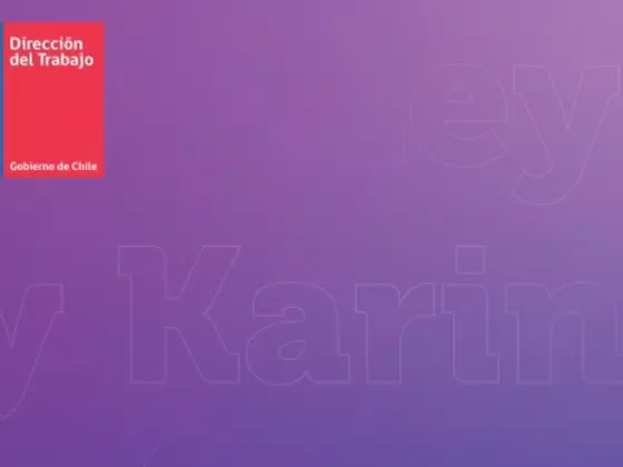 Dirección del Trabajo publica 4.° informe sobre la Ley Karin y lanza plan “DT Previene” para reforzar la gestión temprana en los lugares de trabajo